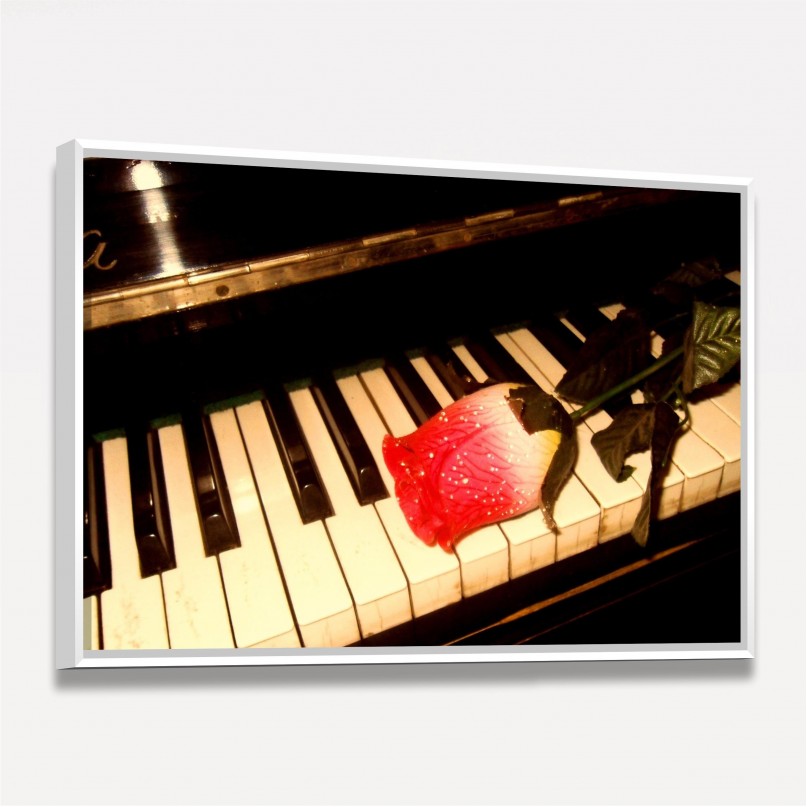 Quadro Vintage Rosa Sobre Teclas do Piano decorativo
