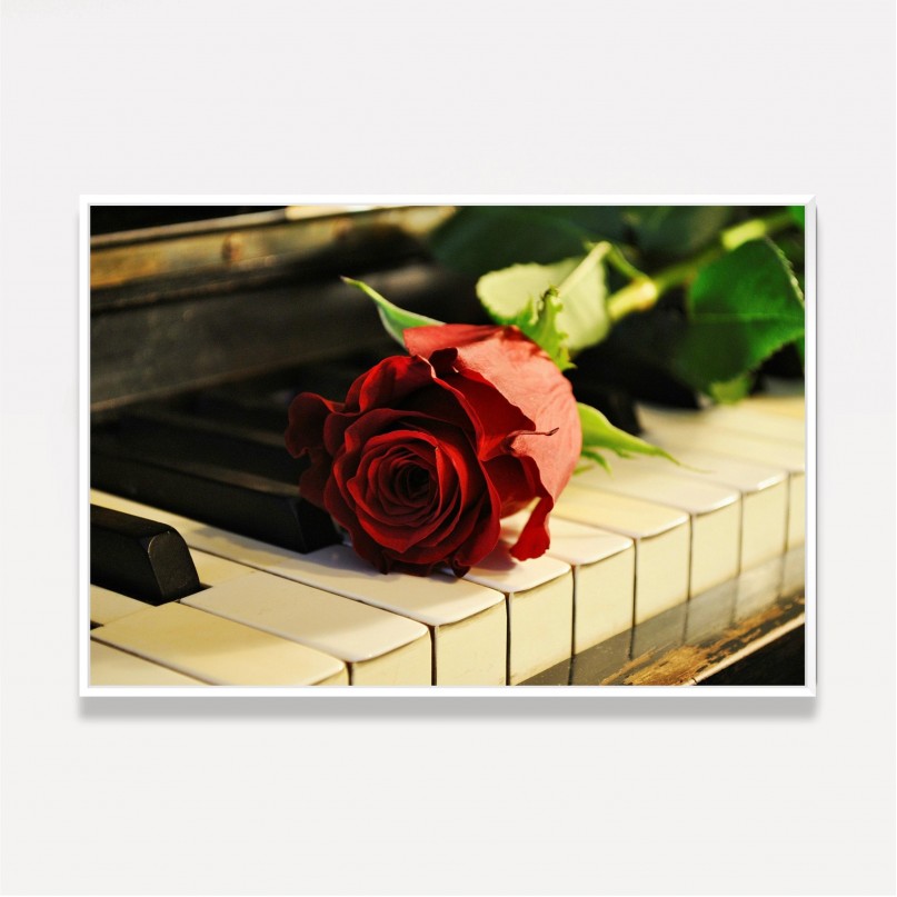 Quadro Piano Teclas com Flor de Rosa - Vintage