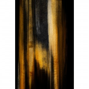Quadro Abstrato Stylish Golden and Black