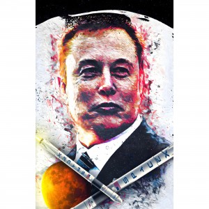 Quadro Elon Musk Rockets