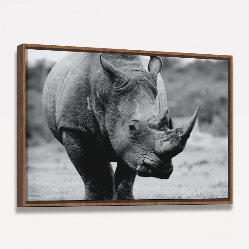 Quadro Rinoceronte Negro 