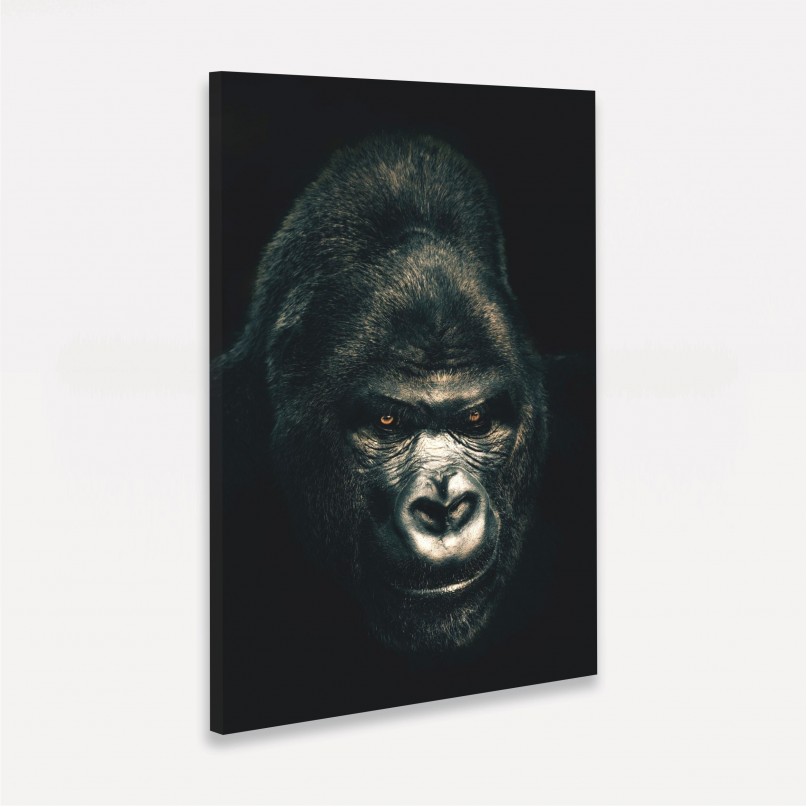 Quadro Gorila Retrato em Preto