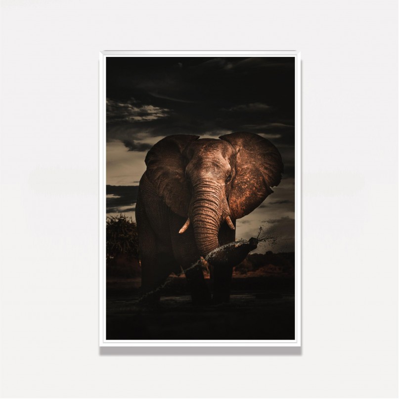 Quadro Elefante Sobre Água Dark