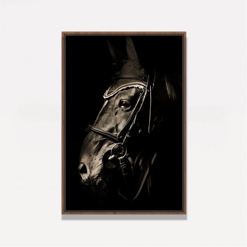Quadro Cavalo Equinio Retrato
