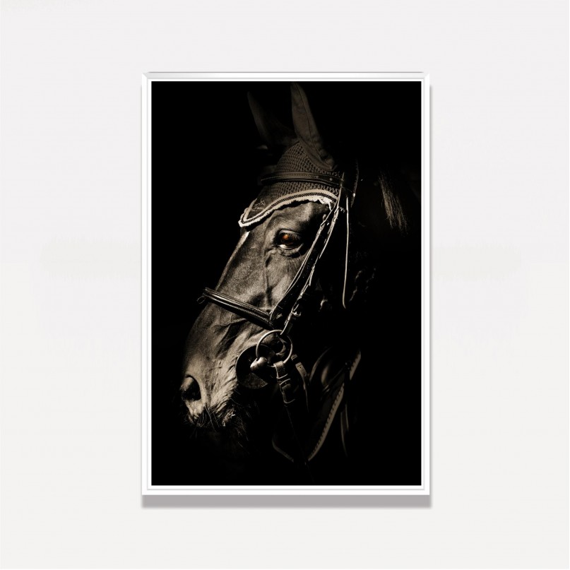 Quadro Cavalo Equinio Retrato
