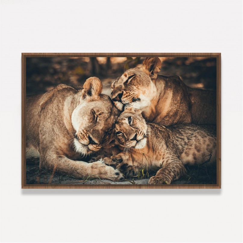 Quadro Família de Leões Afeto Artístico