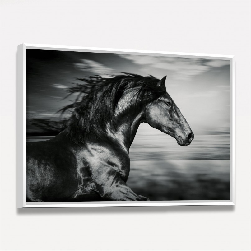 Quadro Cavalo Preto a Galope Arte Preta e Branca