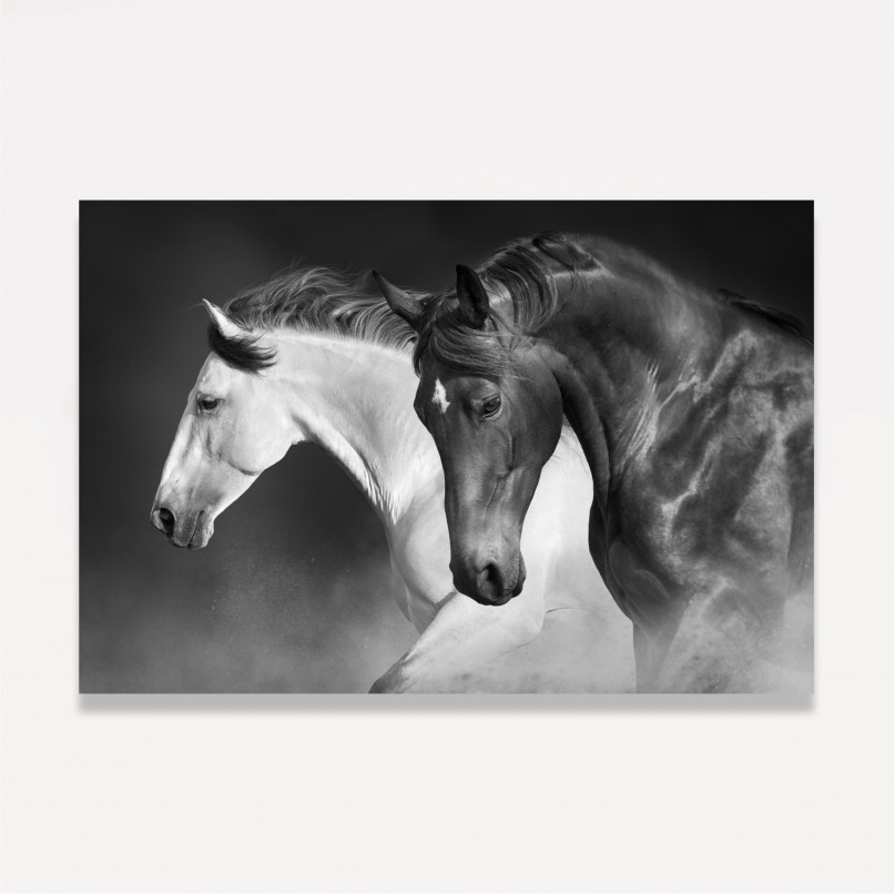 Quadro Cavalos Imposing Preto e Branco em Arte