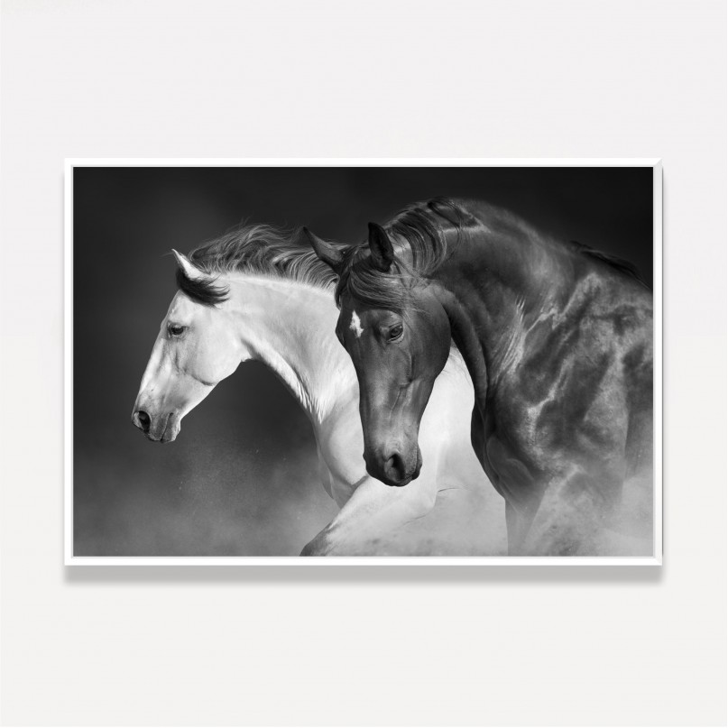 Quadro Cavalos Imposing Preto e Branco em Arte