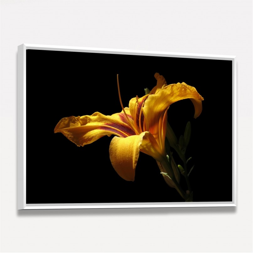 Quadro Lily Flower Artistico