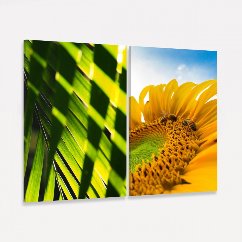 Kit Duo Sunflower Summer Vibes
