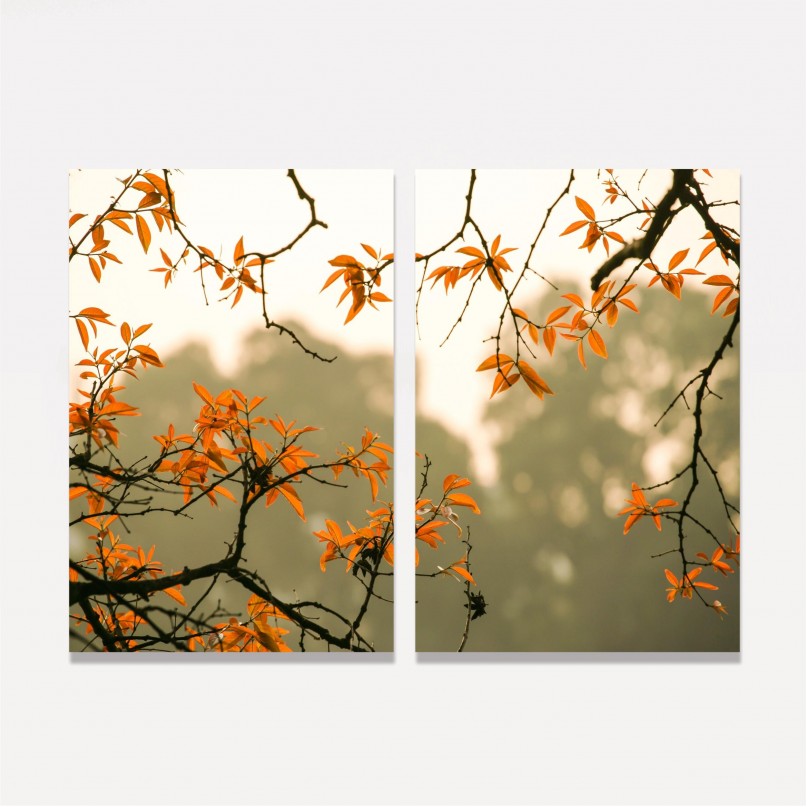Quadro Falling Autumn Leaves - 2 Peças