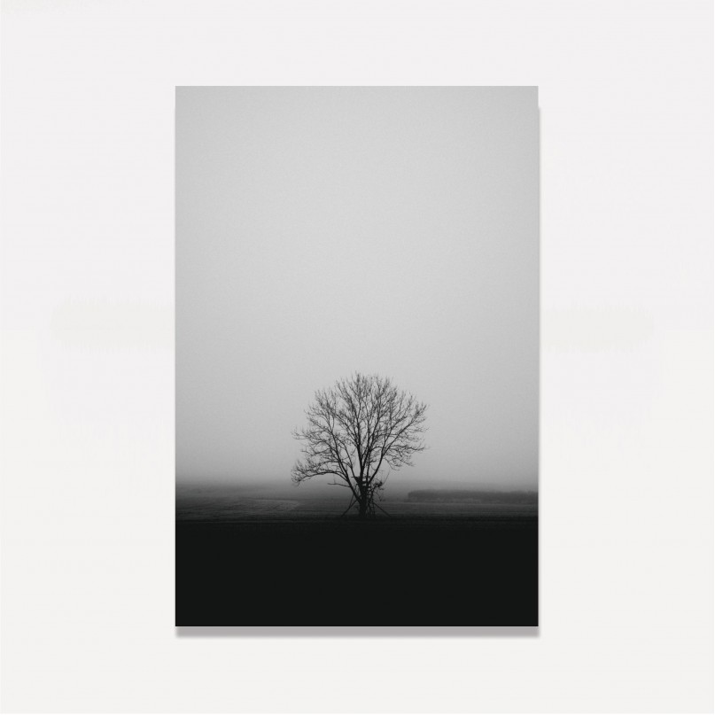 Quadro Árvore na Neblina