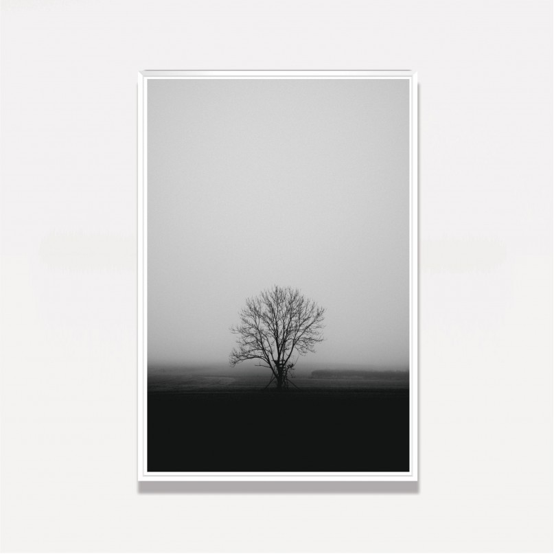 Quadro Árvore na Neblina
