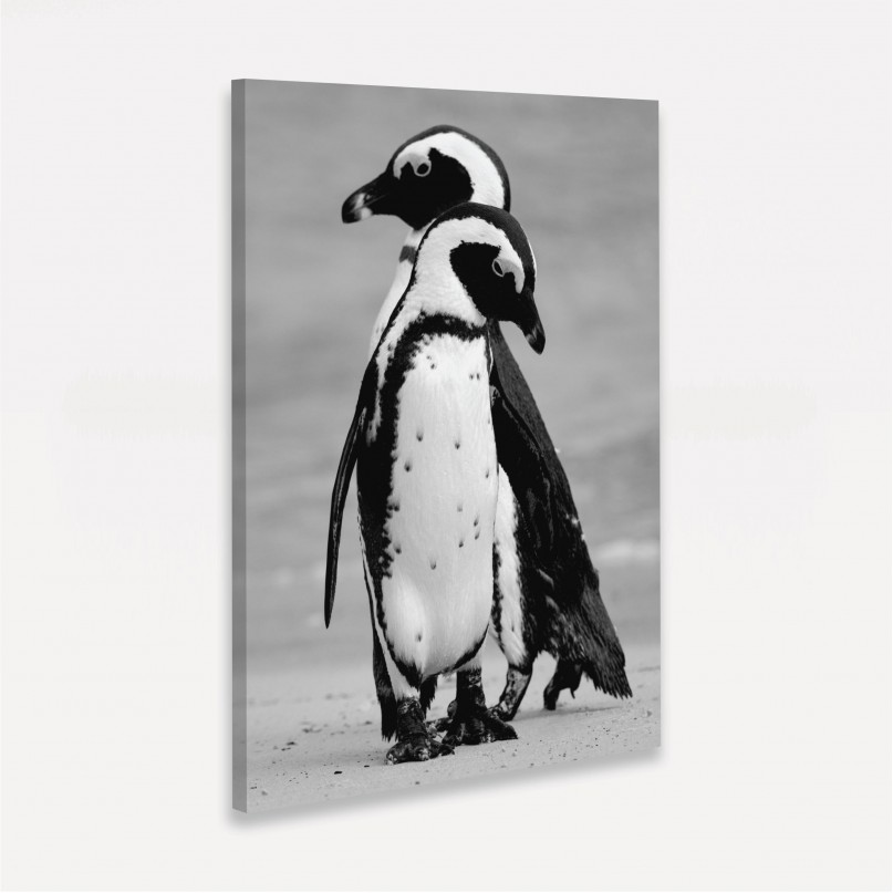 Quadro Casal de Pinguins