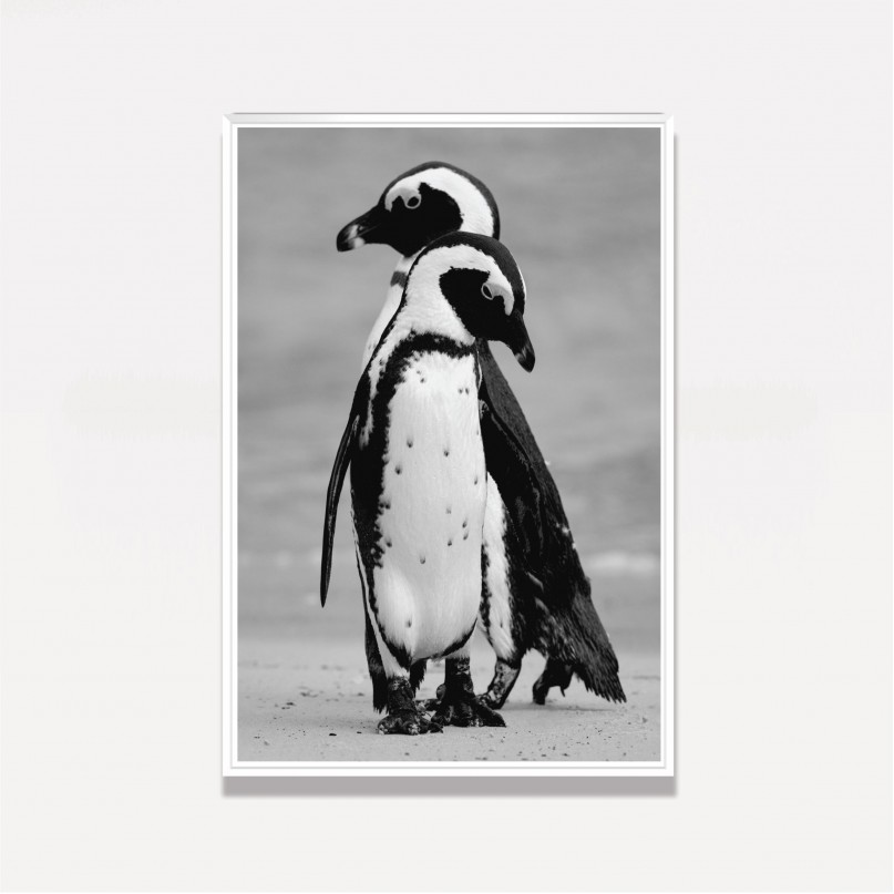 Quadro Casal de Pinguins