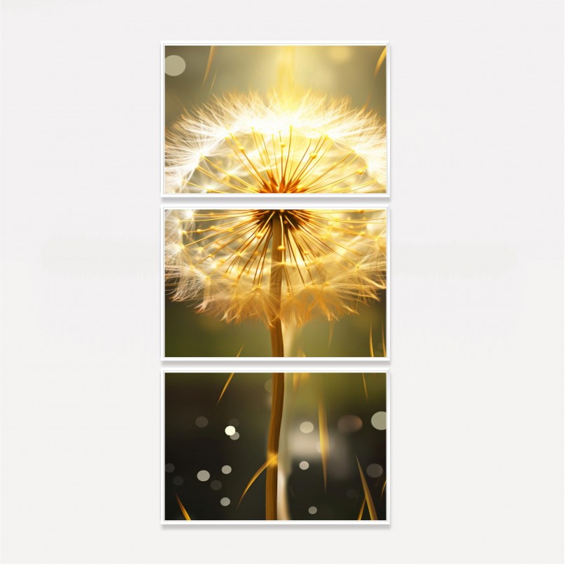 Quadro Decorativo Flor Dente de Leão ao Sol - 3 Peças
