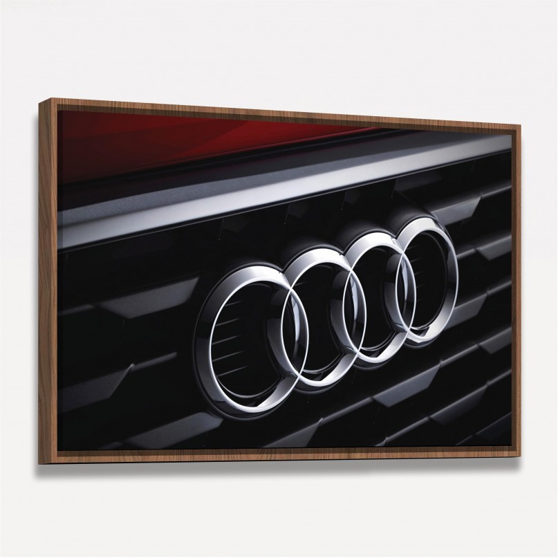 Quadro Decorativo Carro Audi Logo