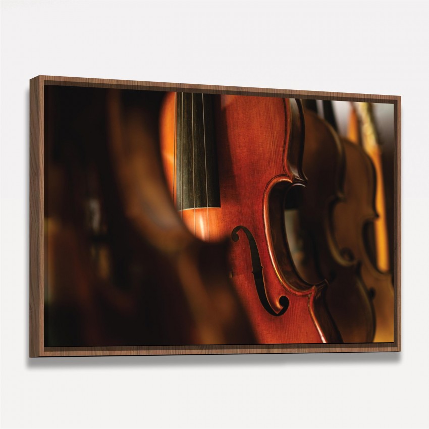 Quadro Detalhes Violinos