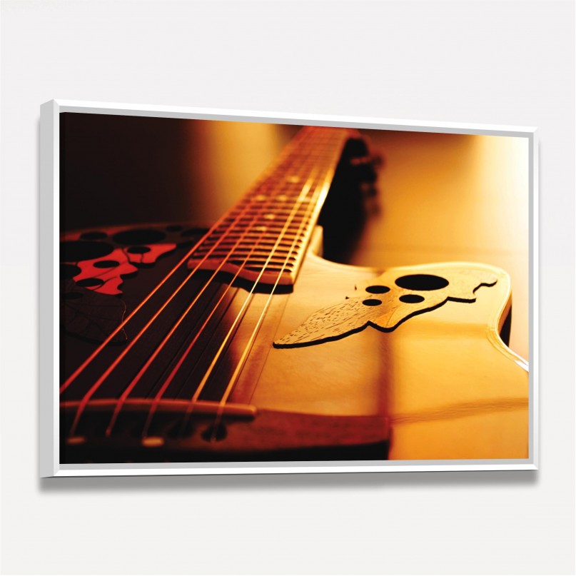 Quadro Detalhes Guitarra Elétrica