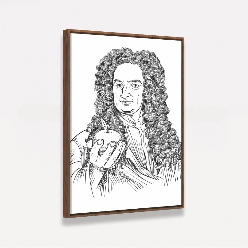 Quadro Representação Isaac Newton Line Art