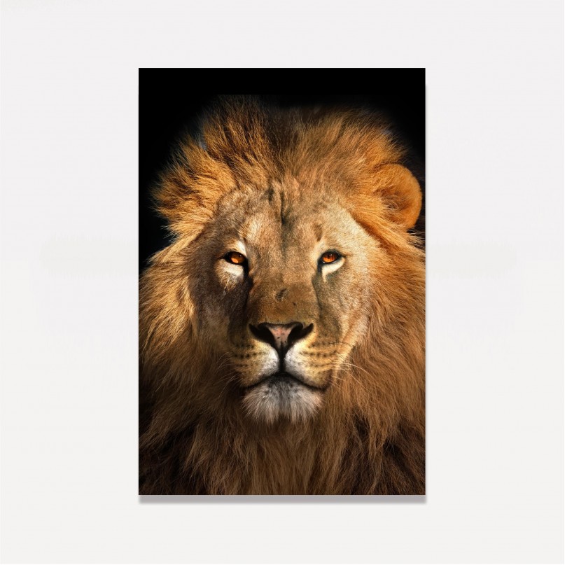Quadro Leão Africano