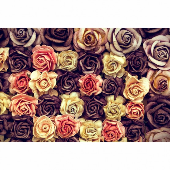 Quadro Rosas Vintage Envelhecidas