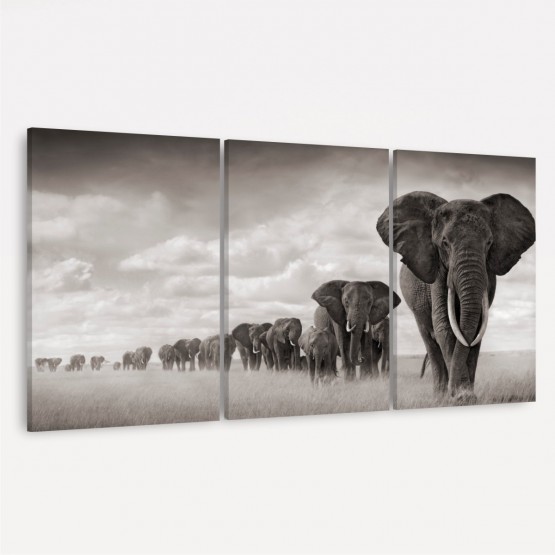 Quadros Decorativos Manada De Elefantes
