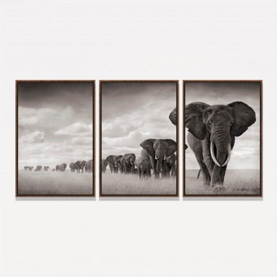 Quadros Decorativos Manada De Elefantes