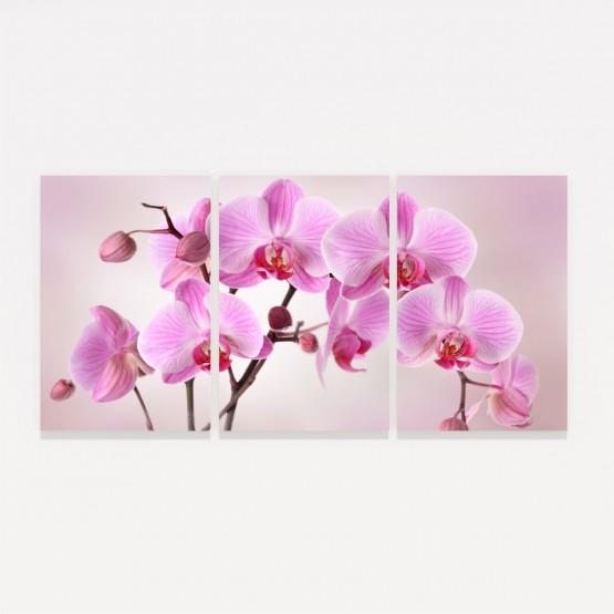 Quadro Flores de Orquídeas em Rosa decorativo