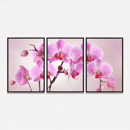Quadro Flores de Orquídeas em Rosa decorativo