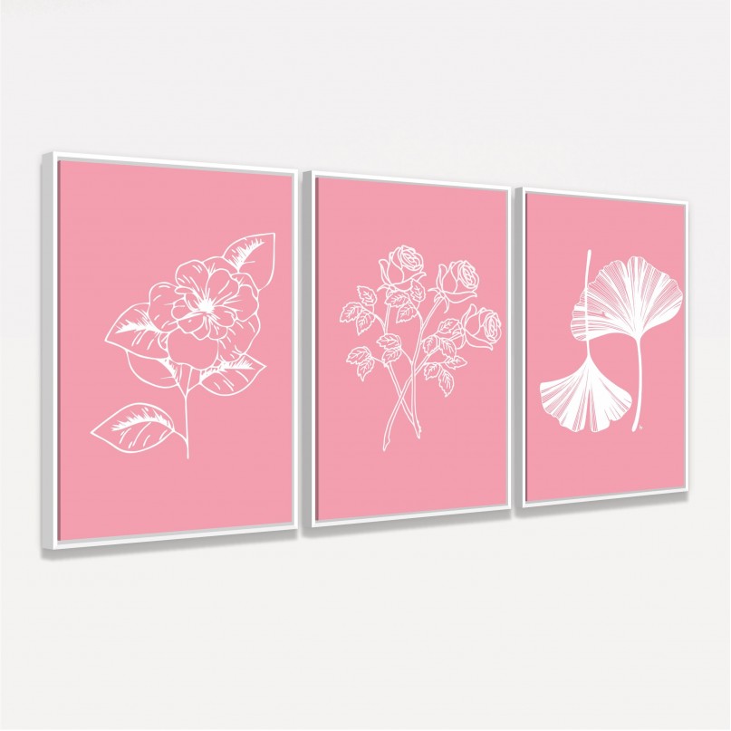Kit de Molduras para Plantas Decorativas de Flores - Arte Floral Rosa