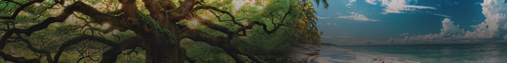 Paisagens