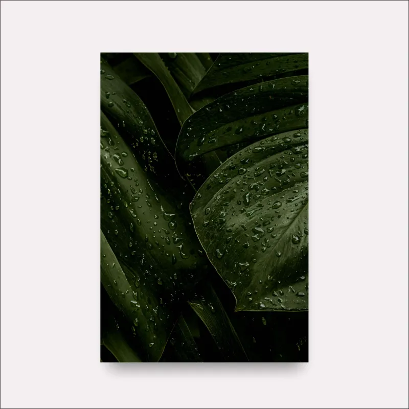 Quadro Folhagem Verde Natural Gotas de Chuva
