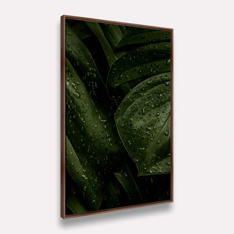 Quadro Folhagem Verde Natural Gotas de Chuva