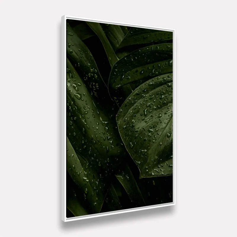 Quadro Folhagem Verde Natural Gotas de Chuva