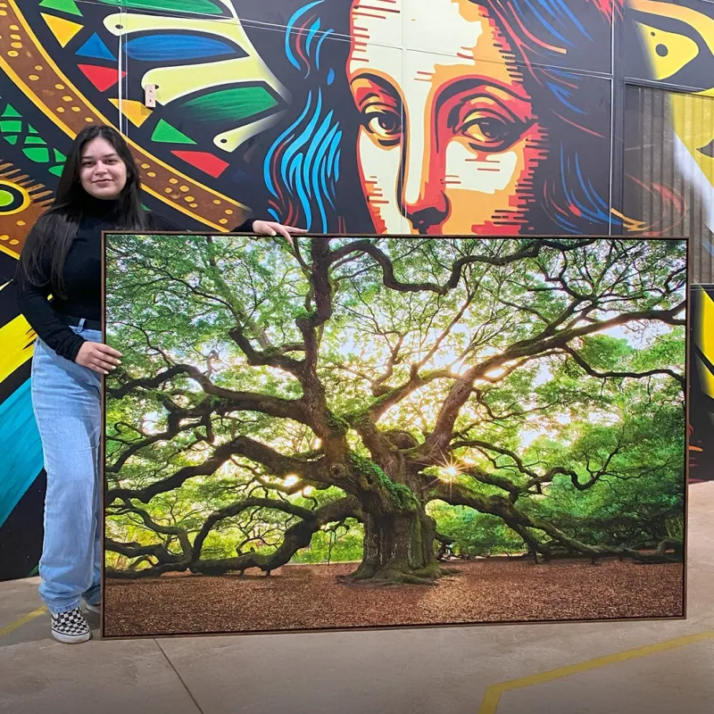 Quadro Árvore Natureza Enorme - Carvalho Antigo