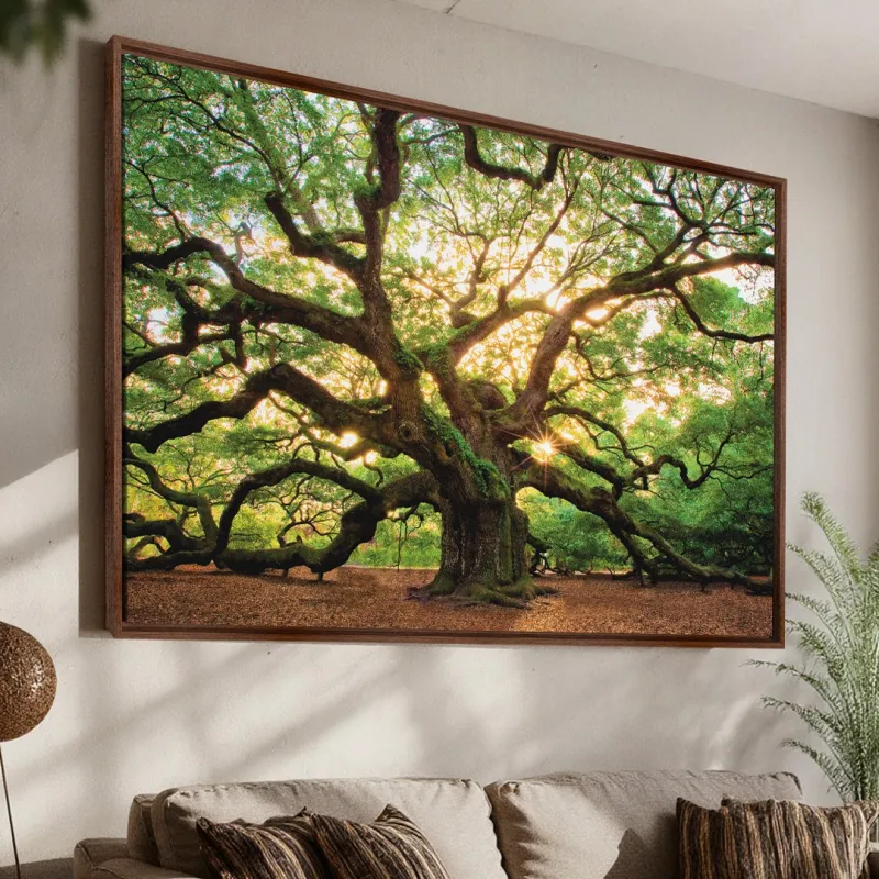Quadro Árvore Natureza Enorme - Carvalho Antigo