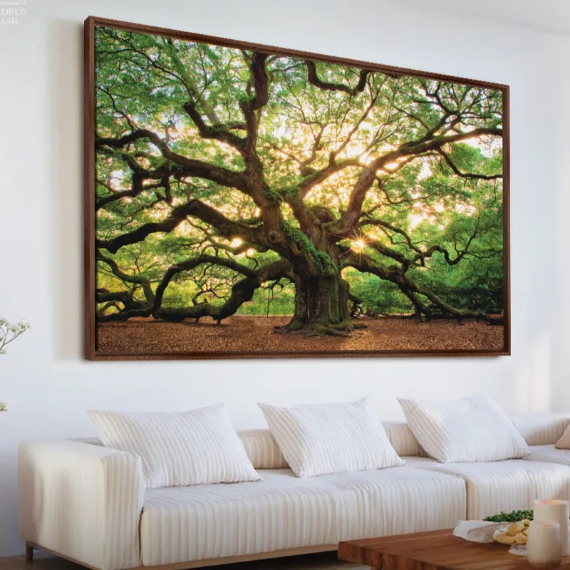 Quadro Árvore Natureza Enorme - Carvalho Antigo