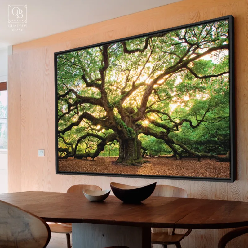 Quadro Árvore Natureza Enorme - Carvalho Antigo