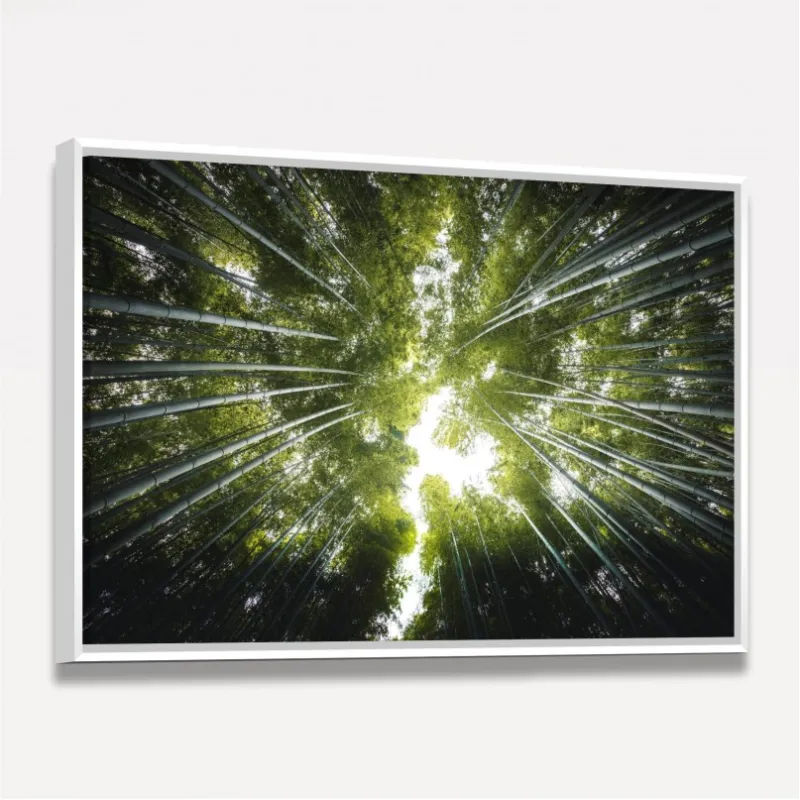 Quadro Floresta de Bambus Folhas Verde