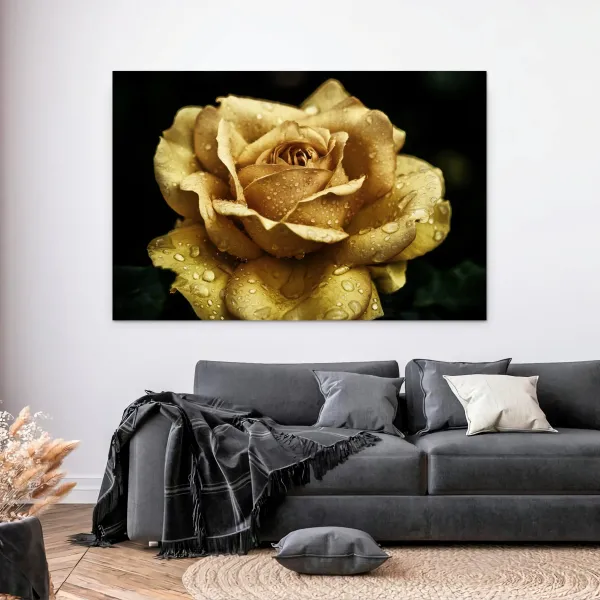 Quadro Flor de Rosa Amarela Detail