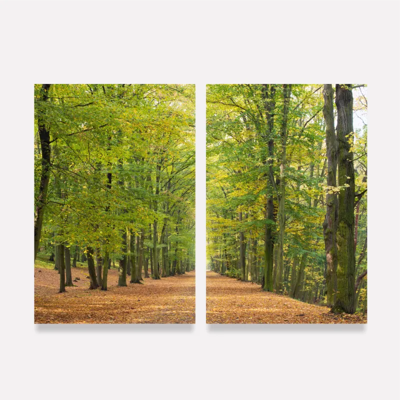 Quadro Paisagem Caminho Natural