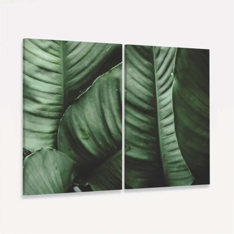 Quadro Plantas Folhagem decorativo - Duo de Verde