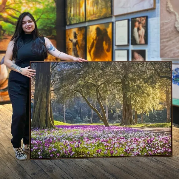 Quadro Jardim das Flores Roxas sob a Proteção das Árvores Iluminadas