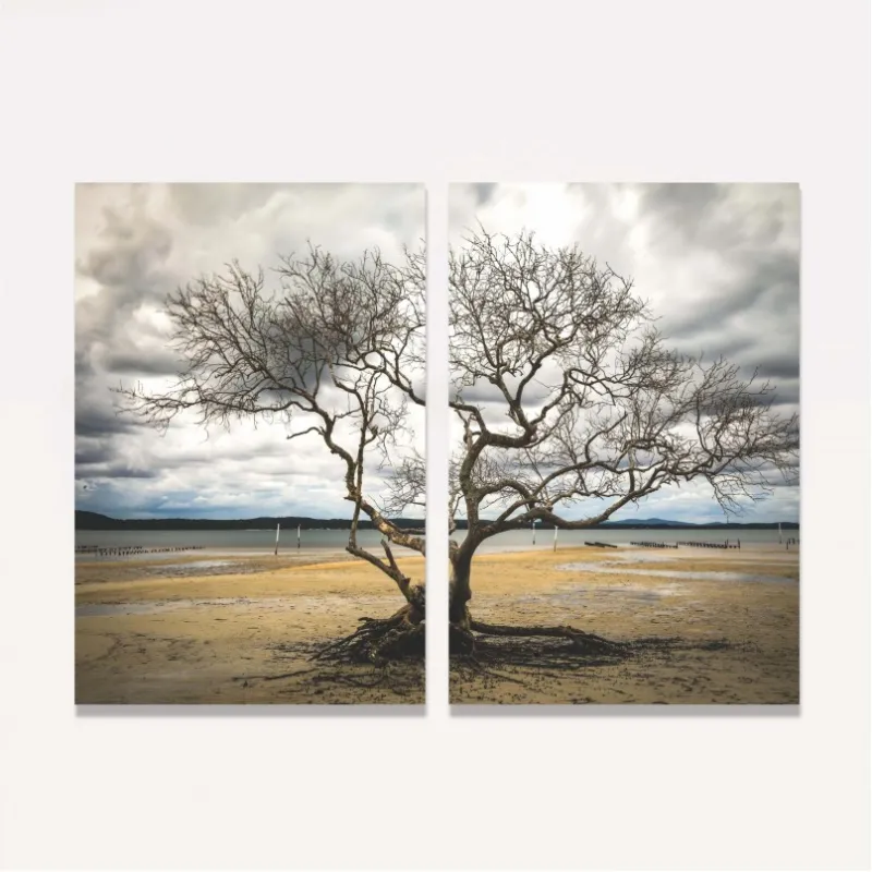 Quadro Árvore Sem Folhas Duo decorativo