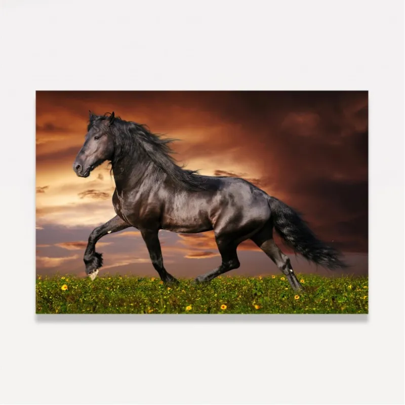 Quadro Cavalo Majestade Equina 