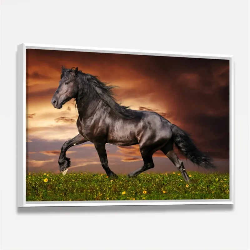 Quadro Cavalo Majestade Equina 