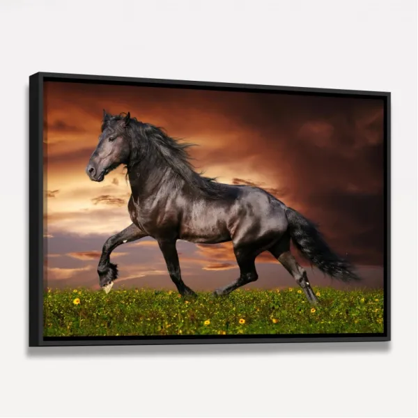 Quadro Cavalo Majestade Equina 