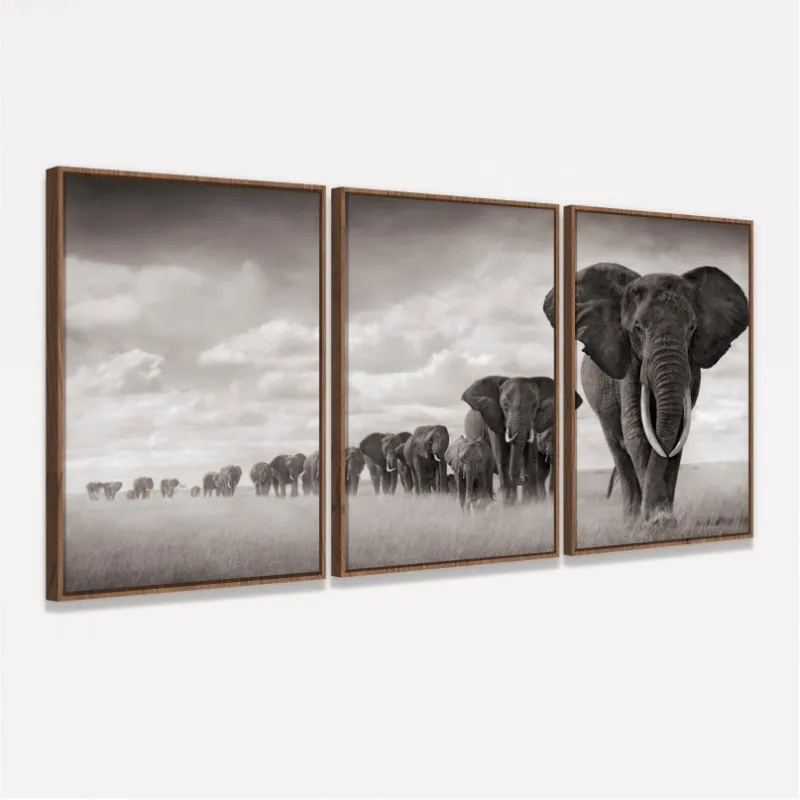 Quadros Decorativos Manada De Elefantes